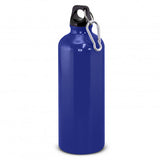 Intrepid Bottle - 800ml - 120513