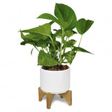 Planter with Bamboo Base - 120901