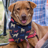 Pet Bandana - Medium - 123659