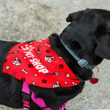 Pet Bandana - Large - 123660