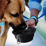 Silicone Collapsible Pet Bowl - 123710