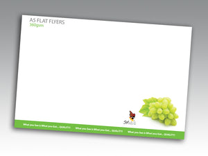 Flyers 360gsm Gloss Cello Two Sides - EB0131