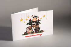 Greeting Cards 350gsm Cast Coated Artboard - EB0079