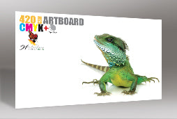 Business Cards 420gsm Artboard - EB0033