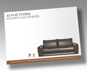 Flyers 310gsm Artboard Gloss Cello Two Sides - EB0126