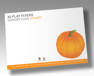 Flyers 310gsm Artboard Matt Cello One Side - EB0127