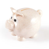 World's Smallest Pig Eco Coin Bank - LL3600