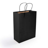 Express Paper Bag Medium - LL548