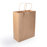 Express Paper Bag Medium - LL548