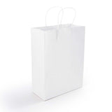 Express Paper Bag Medium - LL548