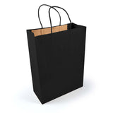 Express Paper Bag Large - LL549