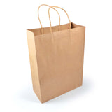 Express Paper Bag Large - LL549