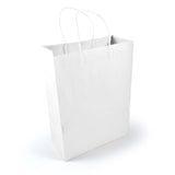 Express Paper Bag Large - LL549